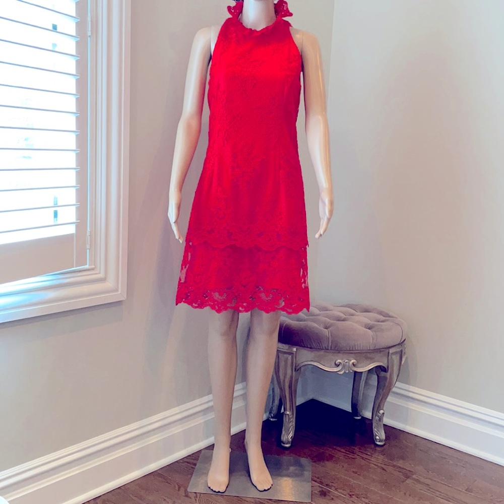 Beautiful red lace dress by Badgley Mischka.